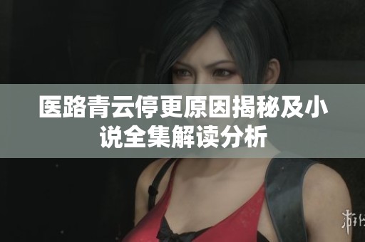 医路青云停更原因揭秘及小说全集解读分析