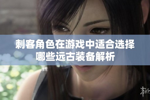 刺客角色在游戏中适合选择哪些远古装备解析