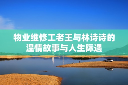 物业维修工老王与林诗诗的温情故事与人生际遇
