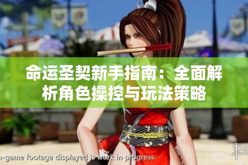 命运圣契新手指南：全面解析角色操控与玩法策略