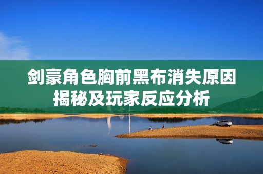 剑豪角色胸前黑布消失原因揭秘及玩家反应分析