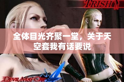 全体目光齐聚一堂，关于天空套我有话要说