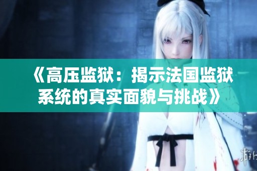 《高压监狱：揭示法国监狱系统的真实面貌与挑战》