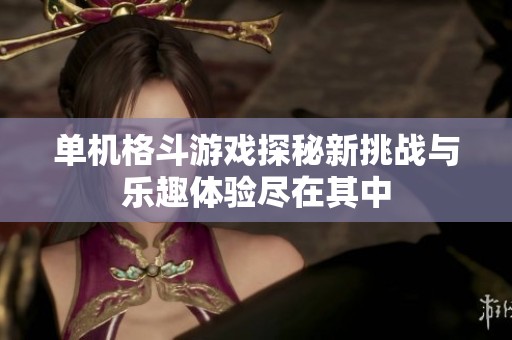 单机格斗游戏探秘新挑战与乐趣体验尽在其中