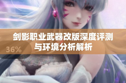 剑影职业武器改版深度评测与环境分析解析