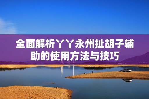 全面解析丫丫永州扯胡子辅助的使用方法与技巧