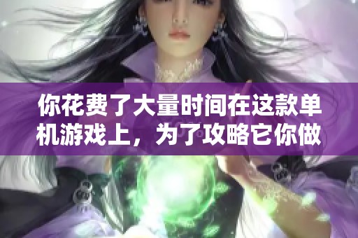 你花费了大量时间在这款单机游戏上，为了攻略它你做了些什么？