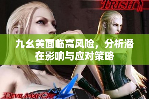九幺黄面临高风险，分析潜在影响与应对策略