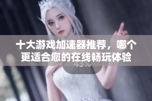 十大游戏加速器推荐，哪个更适合您的在线畅玩体验