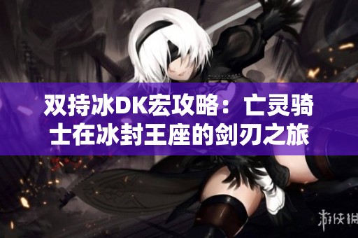 双持冰DK宏攻略：亡灵骑士在冰封王座的剑刃之旅