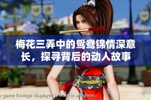 梅花三弄中的鸳鸯锦情深意长，探寻背后的动人故事