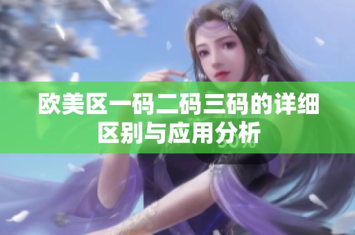 欧美区一码二码三码的详细区别与应用分析