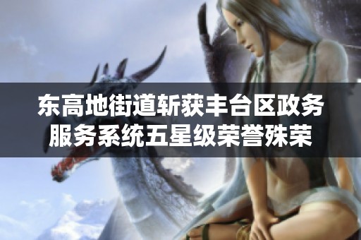东高地街道斩获丰台区政务服务系统五星级荣誉殊荣
