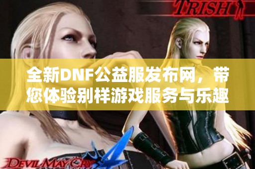 全新DNF公益服发布网，带您体验别样游戏服务与乐趣！