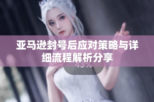 亚马逊封号后应对策略与详细流程解析分享