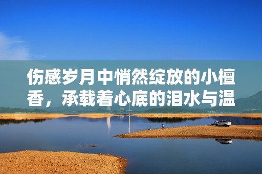 伤感岁月中悄然绽放的小檀香，承载着心底的泪水与温暖
