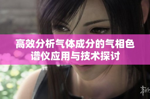 高效分析气体成分的气相色谱仪应用与技术探讨