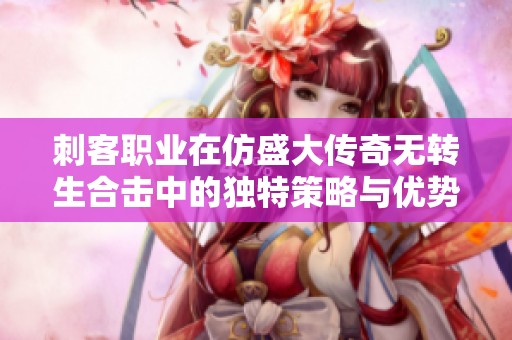 刺客职业在仿盛大传奇无转生合击中的独特策略与优势探索