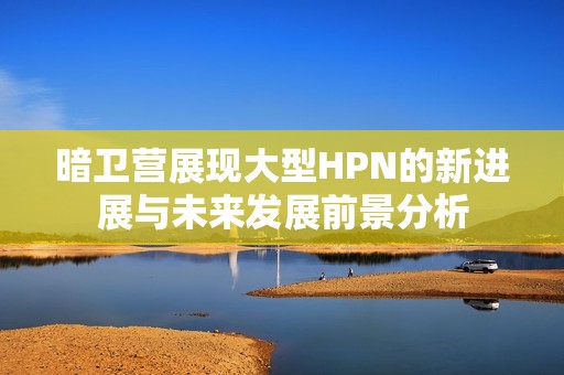 暗卫营展现大型HPN的新进展与未来发展前景分析