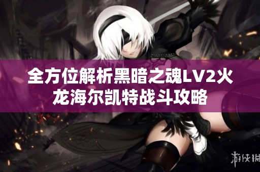 全方位解析黑暗之魂LV2火龙海尔凯特战斗攻略