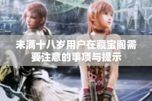 未满十八岁用户在藏宝阁需要注意的事项与提示