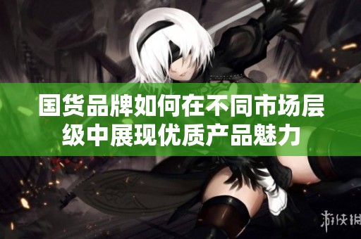 国货品牌如何在不同市场层级中展现优质产品魅力