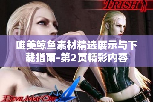 唯美鲸鱼素材精选展示与下载指南-第2页精彩内容
