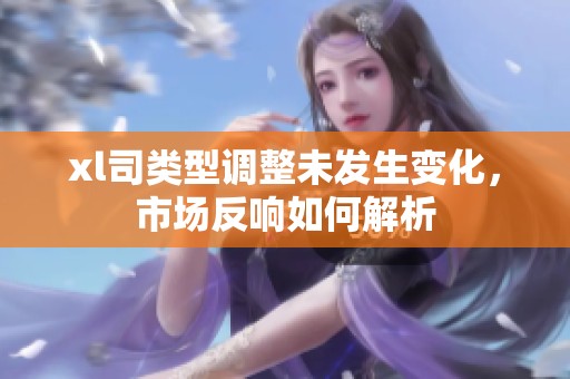 xl司类型调整未发生变化，市场反响如何解析