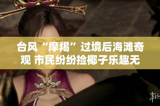 台风“摩羯”过境后海滩奇观 市民纷纷捡椰子乐趣无穷