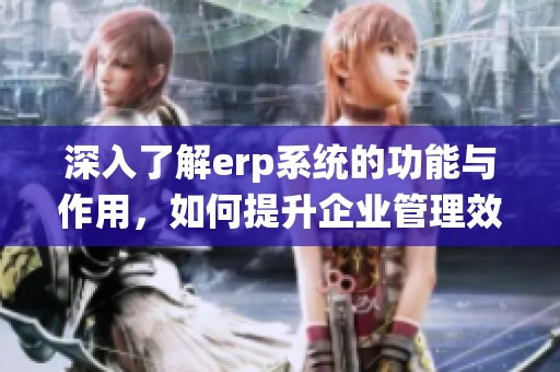 深入了解erp系统的功能与作用，如何提升企业管理效率