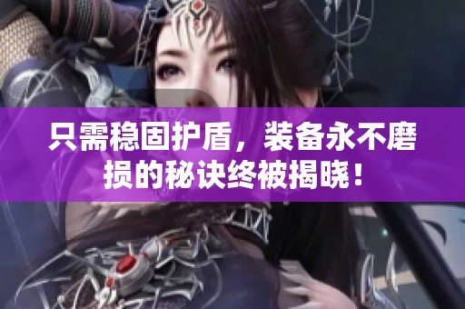 只需稳固护盾，装备永不磨损的秘诀终被揭晓！