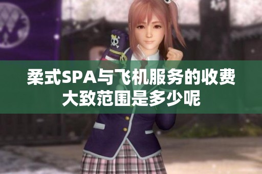柔式SPA与飞机服务的收费大致范围是多少呢