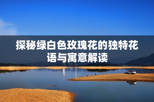 探秘绿白色玫瑰花的独特花语与寓意解读
