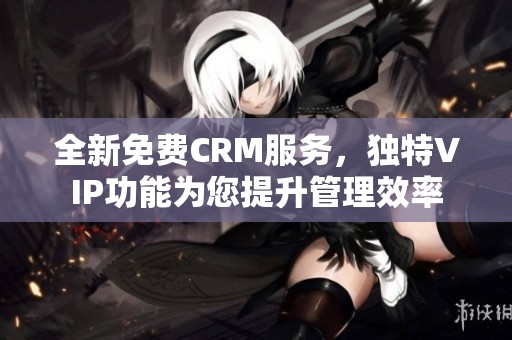全新免费CRM服务，独特VIP功能为您提升管理效率