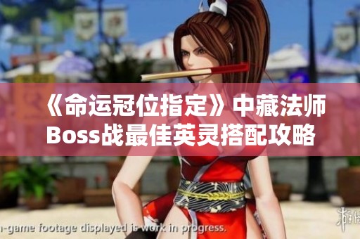 《命运冠位指定》中藏法师Boss战最佳英灵搭配攻略解析