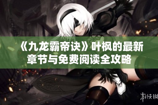 《九龙霸帝诀》叶枫的最新章节与免费阅读全攻略