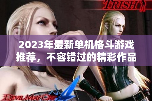 2023年最新单机格斗游戏推荐，不容错过的精彩作品