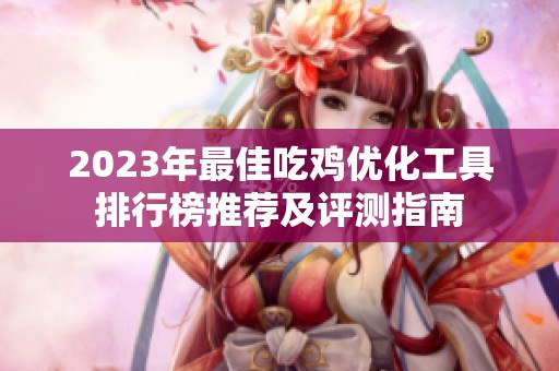 2023年最佳吃鸡优化工具排行榜推荐及评测指南