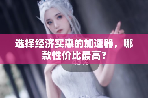 选择经济实惠的加速器，哪款性价比最高？