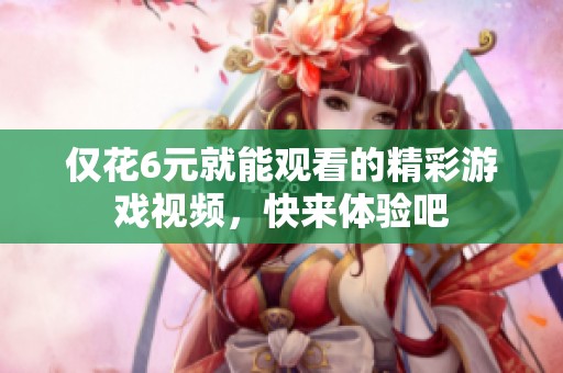 仅花6元就能观看的精彩游戏视频，快来体验吧