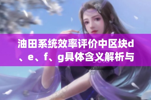 油田系统效率评价中区块d、e、f、g具体含义解析与应用探讨