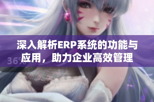 深入解析ERP系统的功能与应用，助力企业高效管理