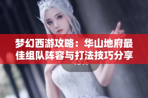 梦幻西游攻略：华山地府最佳组队阵容与打法技巧分享