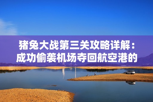 猪兔大战第三关攻略详解：成功偷袭机场夺回航空港的秘笈