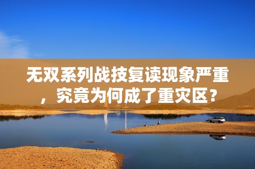 无双系列战技复读现象严重，究竟为何成了重灾区？