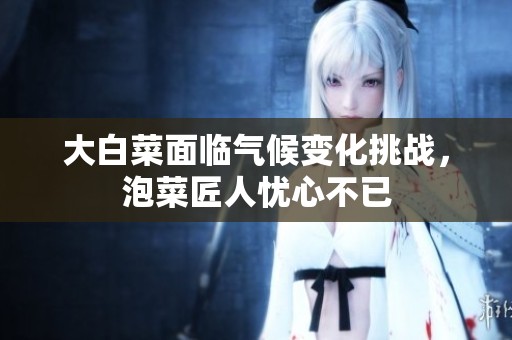 大白菜面临气候变化挑战，泡菜匠人忧心不已