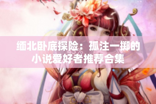 缅北卧底探险：孤注一掷的小说爱好者推荐合集