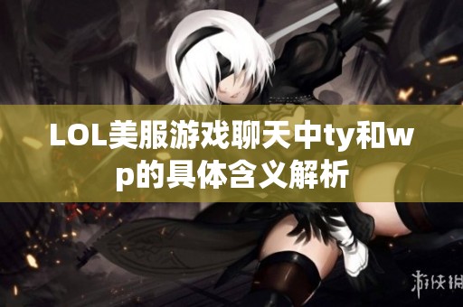 LOL美服游戏聊天中ty和wp的具体含义解析