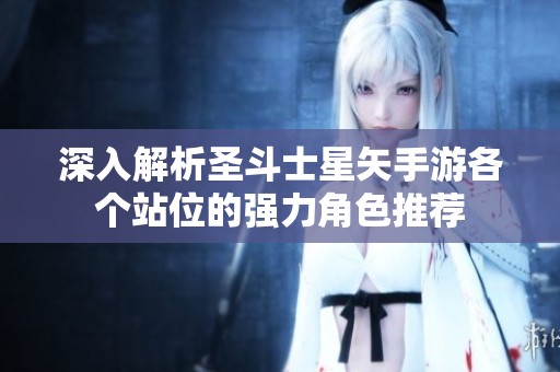 深入解析圣斗士星矢手游各个站位的强力角色推荐