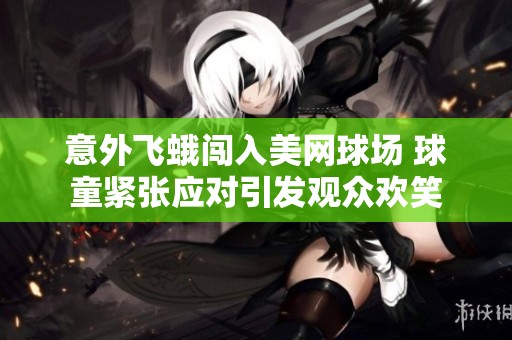 意外飞蛾闯入美网球场 球童紧张应对引发观众欢笑